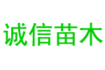 {dede:global.cfg_keywords/}